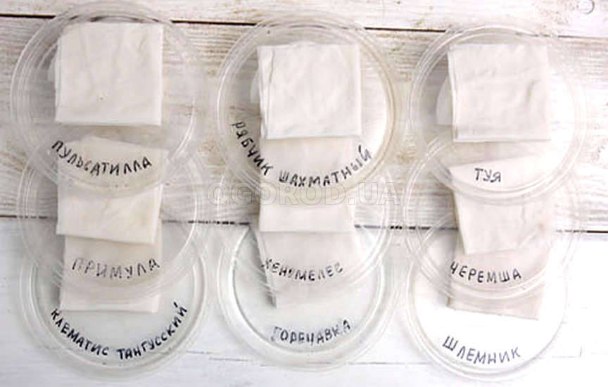 Стратификация Стратификация