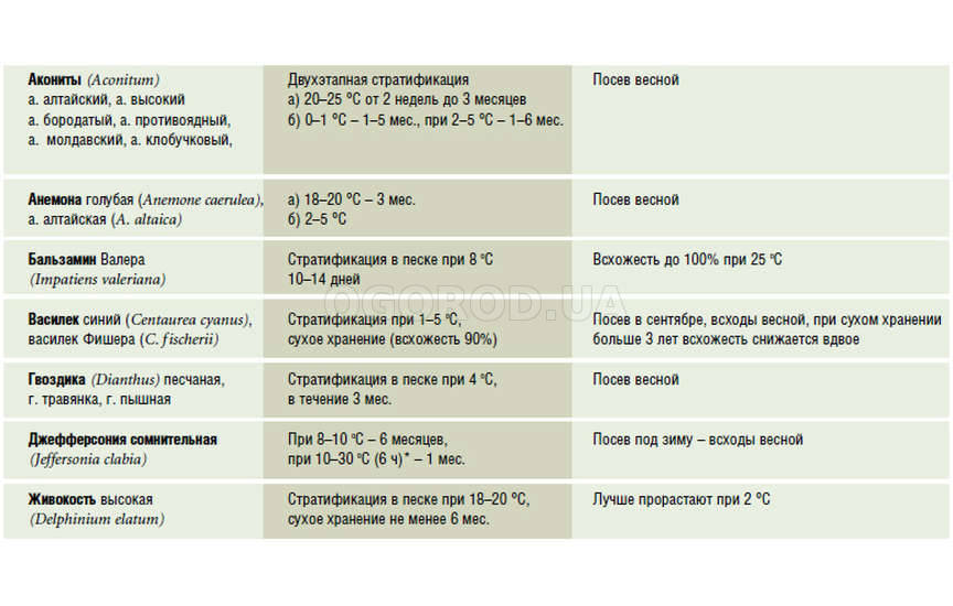 Стратификация Стратификация