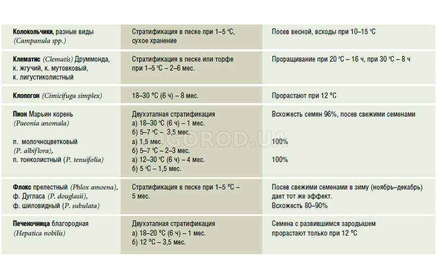 Стратификация Стратификация