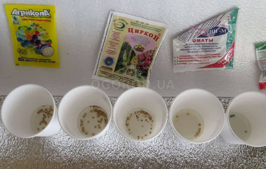 Стратификация Стратификация