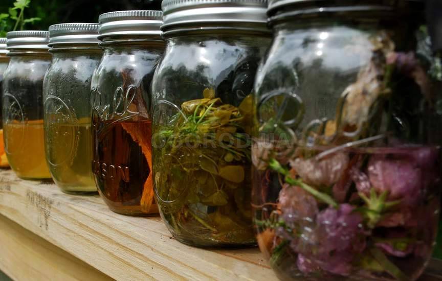 Тысячелистник Тысячелистник