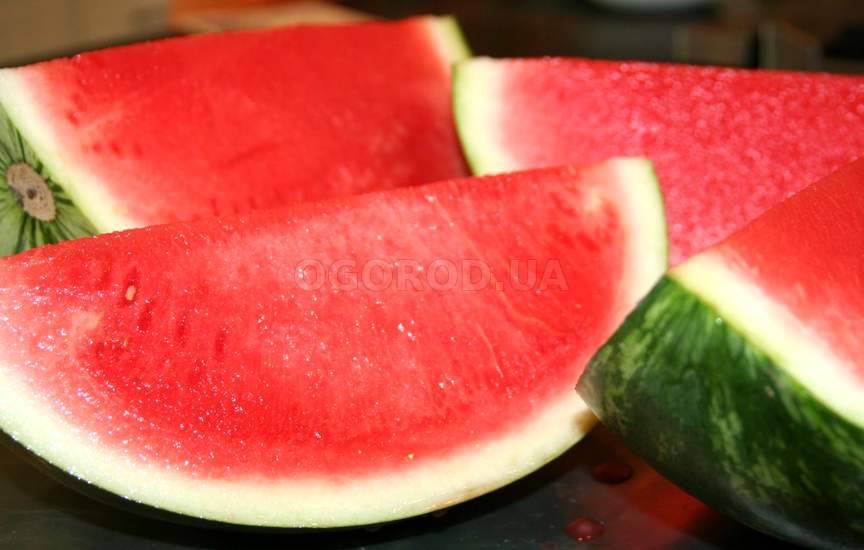 Бессемянный арбуз Бессемянный арбуз