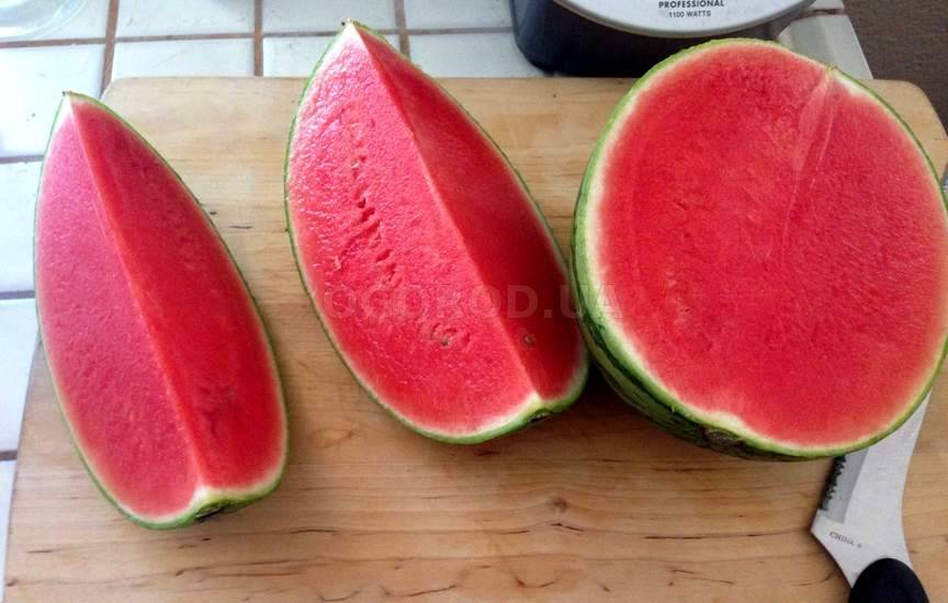 Бессемянный арбуз Бессемянный арбуз