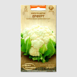 УЦЕНКА - Семена капусты цветной «Эрфурт», ТМ «СЕМЕНА УКРАИНЫ» - 0,5 грамма