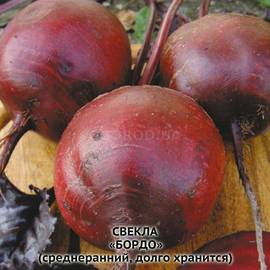 Семена свеклы «Бордо», ТМ OGOROD - 200 грамм