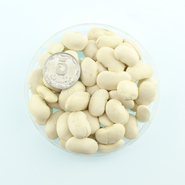 Семена фасоли зерновой «Файный Ясь», ТМ OGOROD - 10 грамм