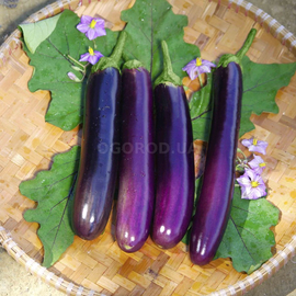 Семена баклажана «Длинный фиолетовый», TM OGOROD - 20 семян