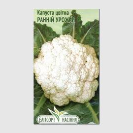 УЦЕНКА - Семена капусты цветной «Ранний урожай», ТМ «Елітсортнасіння» - 0,5 грамм