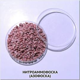 Нитроаммофоска / Азофоска, ТМ OGOROD - 100 грамм