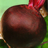 Семена свеклы «Мармеладка», ТМ Елітсортнасіння - 3 грамма