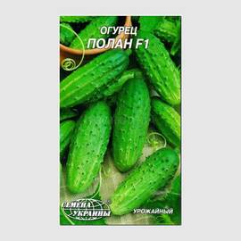 УЦЕНКА - Семена огурца «Полан» F1, ТМ «СЕМЕНА УКРАИНЫ» - 0,5 грамма