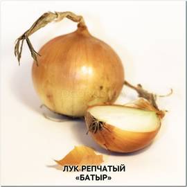 Семена лука «Батыр» (репчатый), ТМ OGOROD - 10 грамм