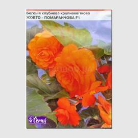 Семена бегонии клубневой крупноцветковой «Желто-оранжевая» F1, ТМ Cerny - 10 семян