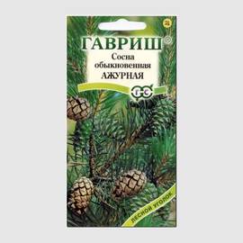 Кликните для увеличения изображения УЦЕНКА - Семена сосны обыкновенной «Ажурная» / Pinus sylvestris, ТМ «ГАВРИШ» - 0,2 грамма