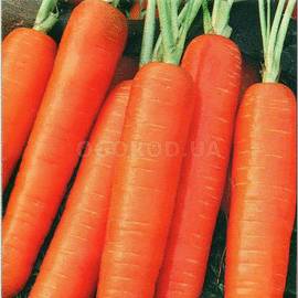 Семена моркови «Яскрава», ТМ ИОБ НААН - 1 грамм