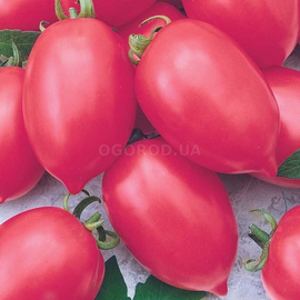 Семена томата «Тарасенко розовый», ТМ OGOROD - 20 семян